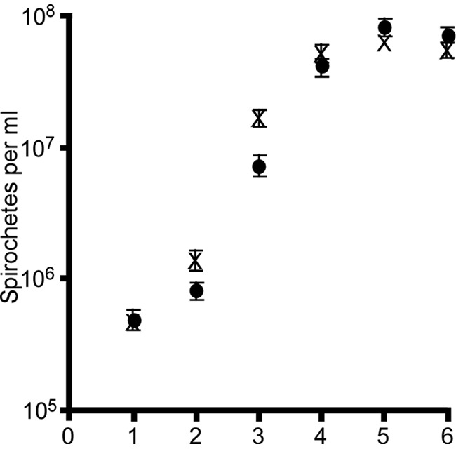 FIG 2