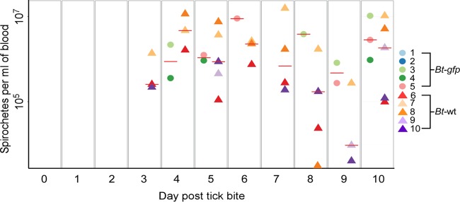 FIG 6