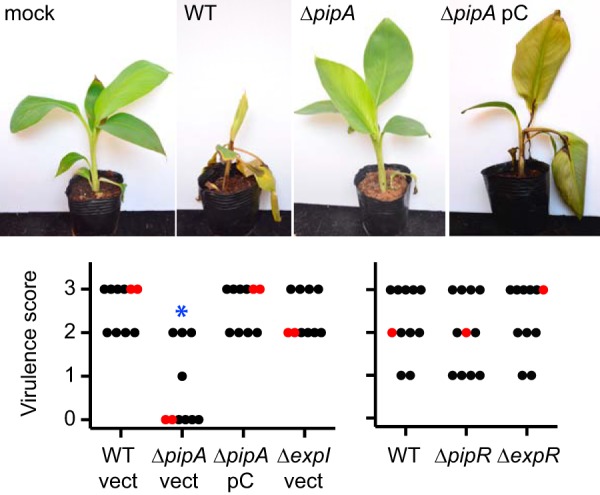 FIG 1