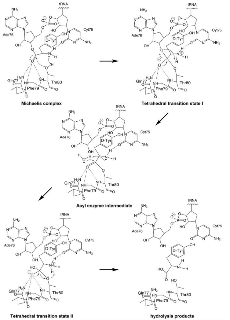 FIG. 6