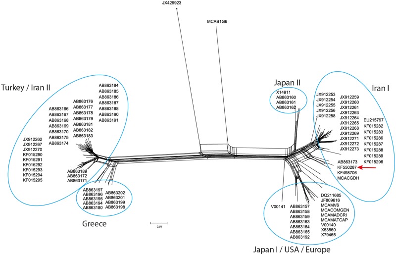 Fig 2