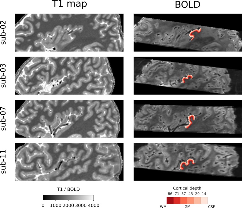 Figure 1—figure supplement 2.