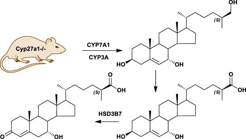 Unlabelled Image