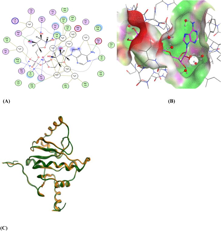 Figure 2.