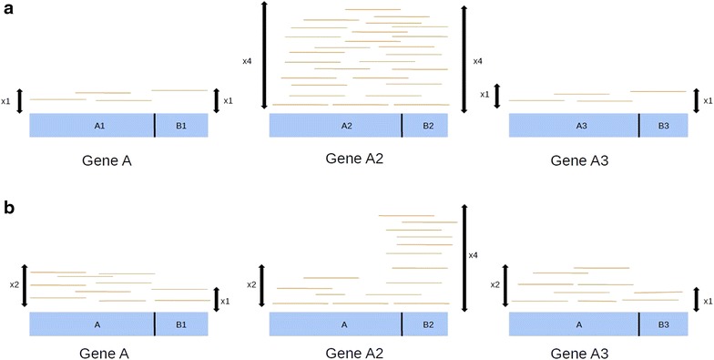 Fig. 4