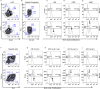 Figure 3—figure supplement 1.