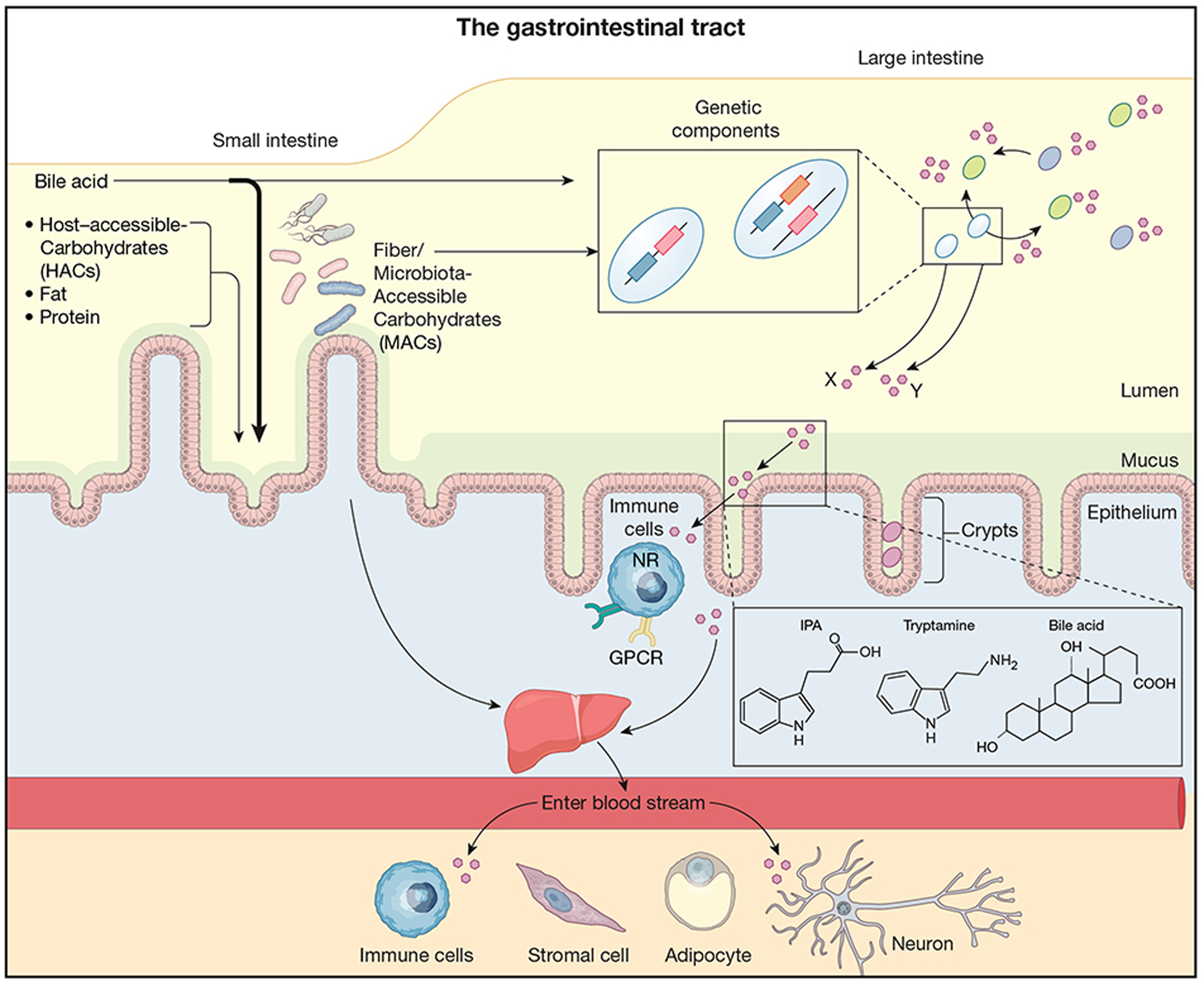 Figure 1: