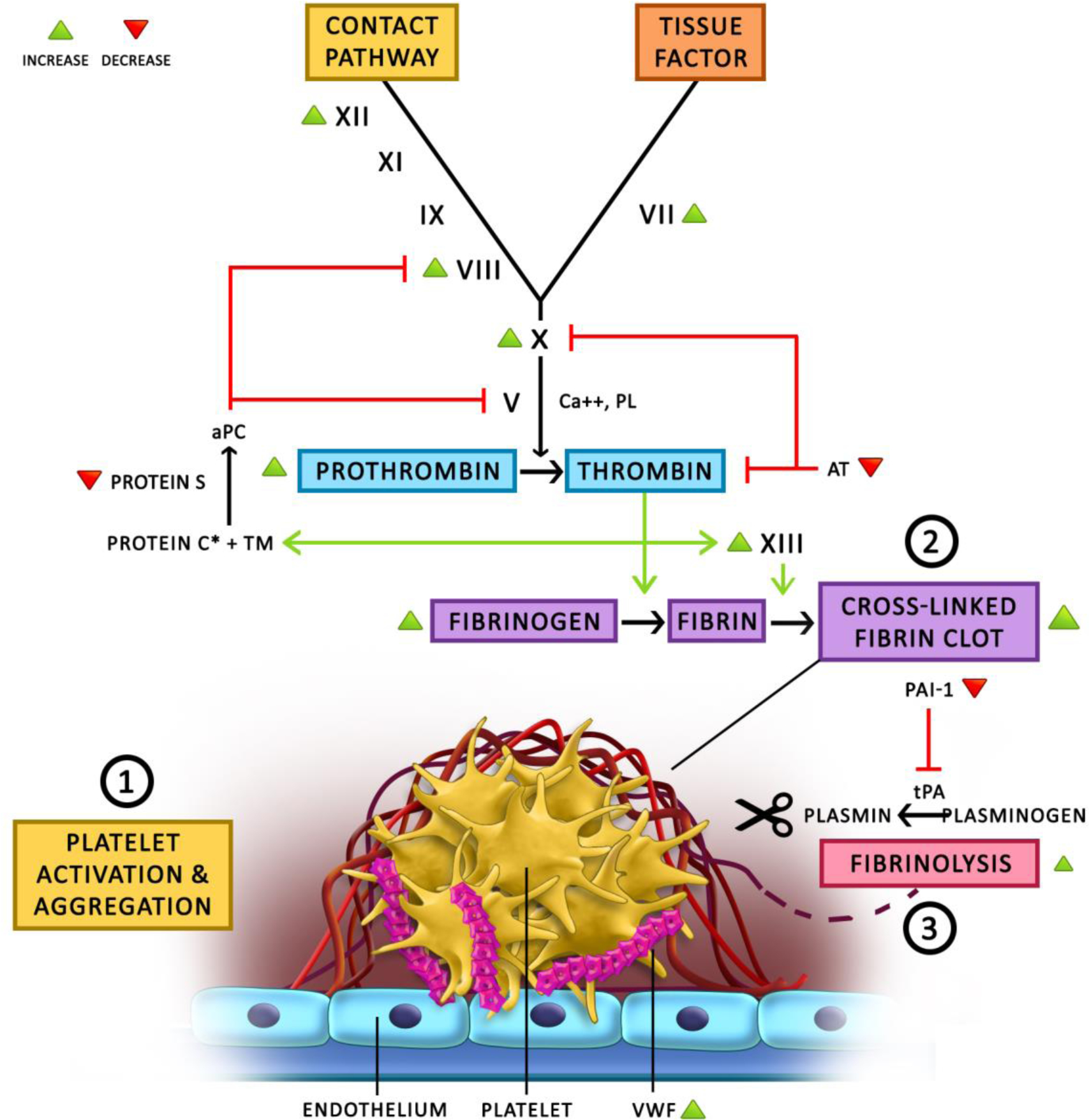 Figure 2 -