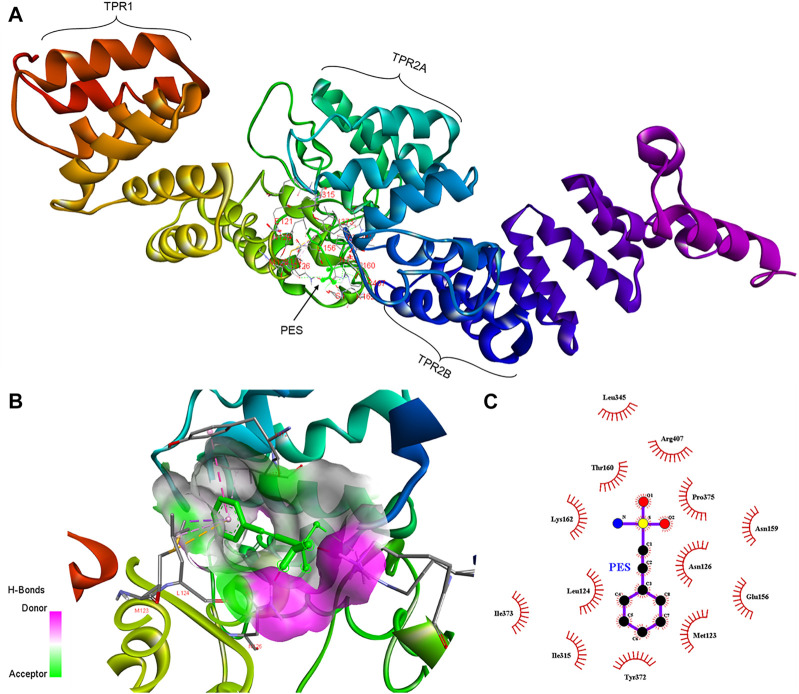 FIGURE 3