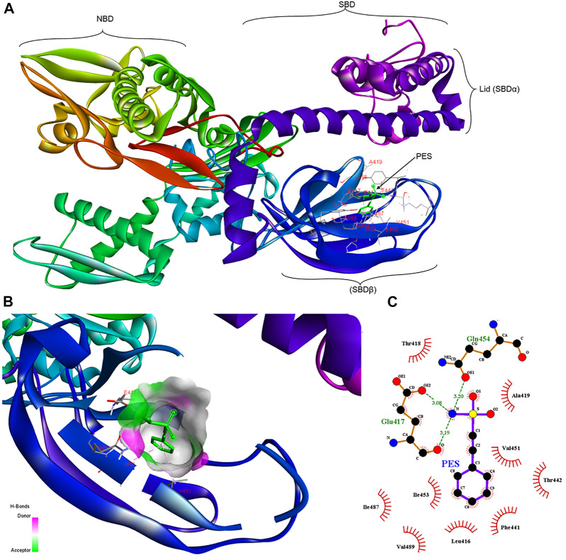 FIGURE 2