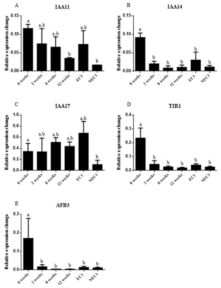 Figure 5