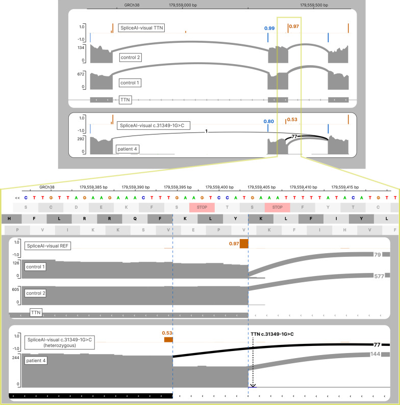 Fig. 7