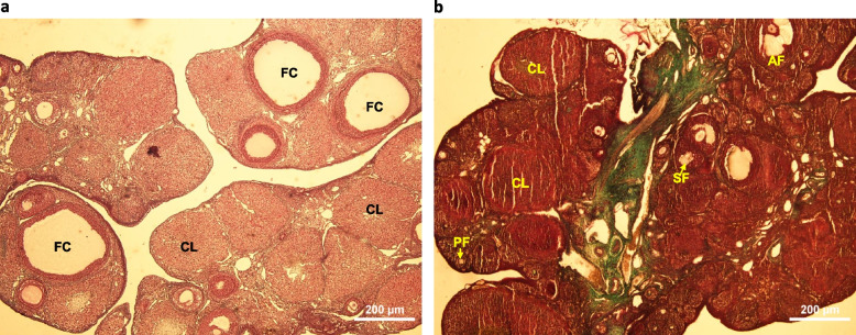 Fig. 2