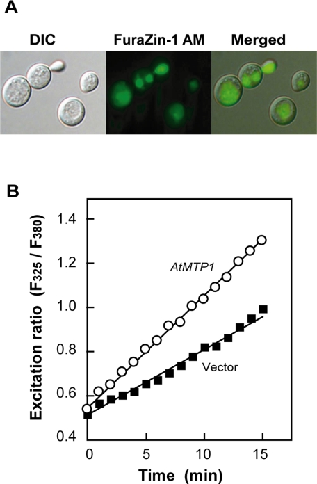 FIGURE 2.