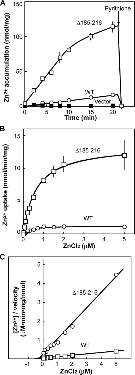 FIGURE 7.