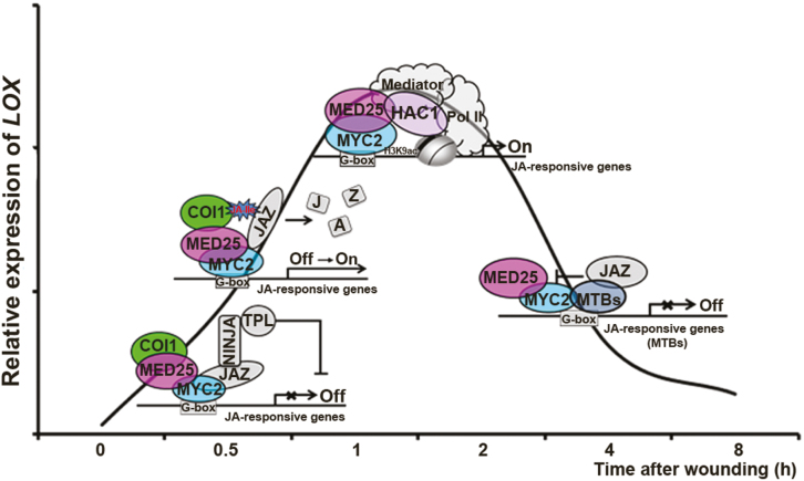 Fig. 3.