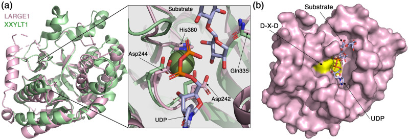 Fig 4