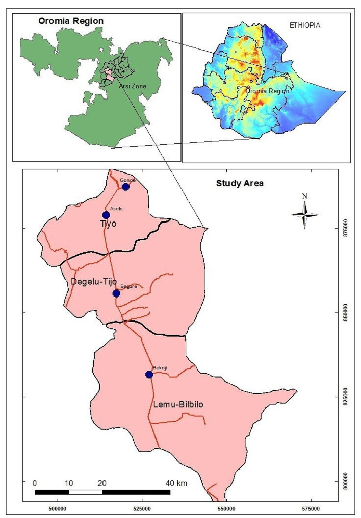 Fig. 1