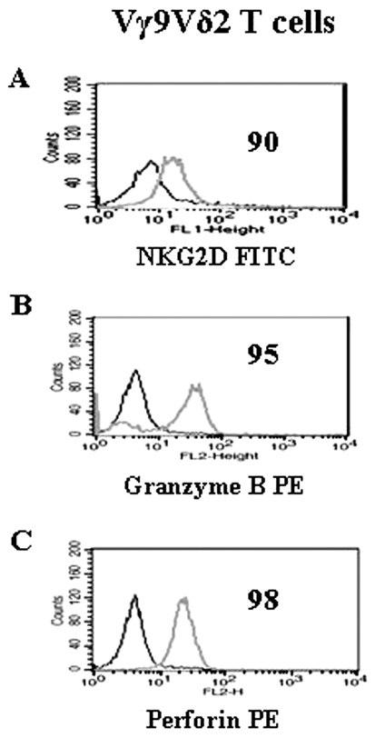 Figure 6