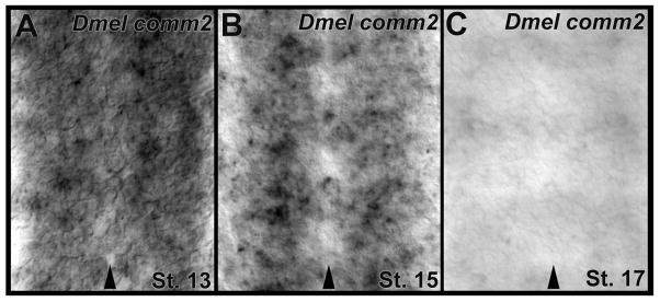 Fig. 6