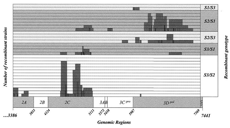 FIG. 7