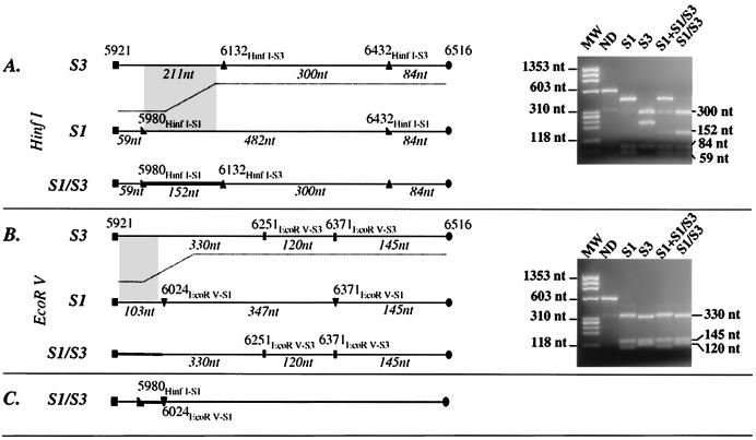 FIG. 6