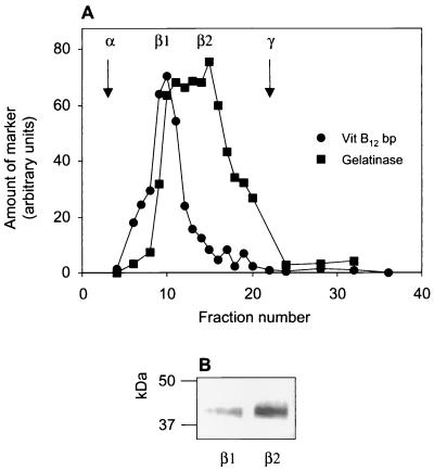 FIG. 5.