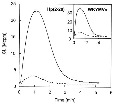 FIG. 1.