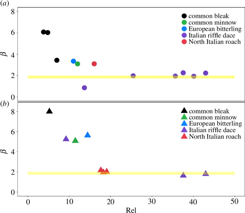 Empirical estimates of scaling exponent β obtained from the linear regression analysis.