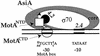 FIG. 8.