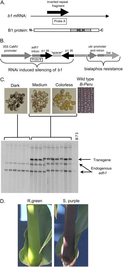 Figure 2.