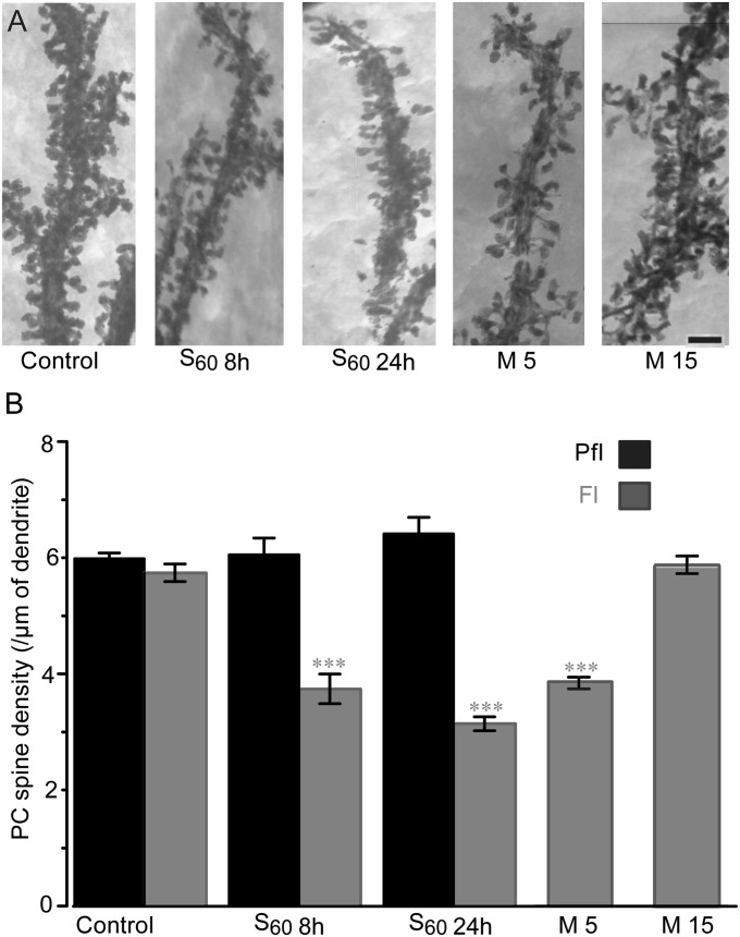 Fig. 7.