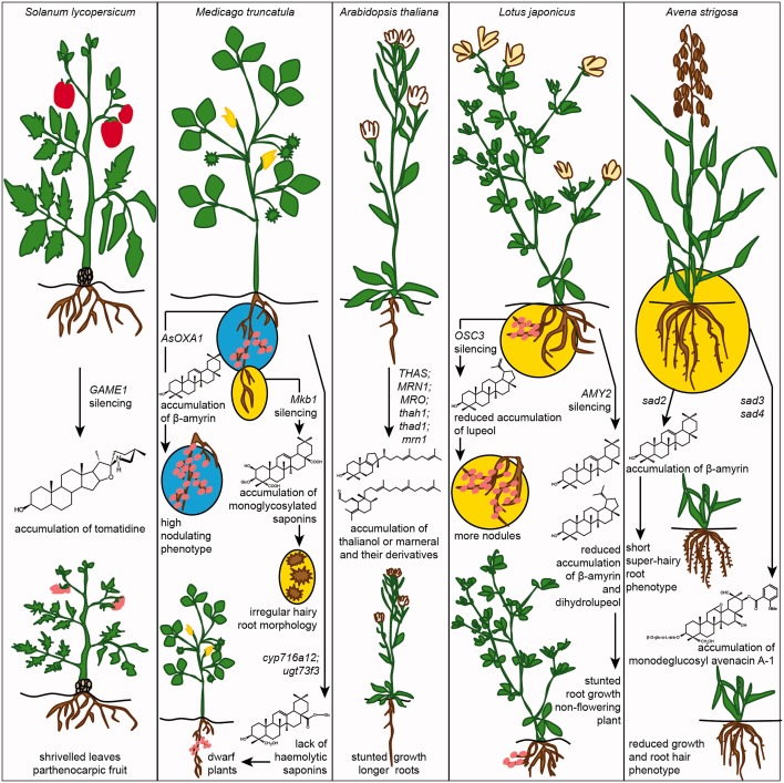 Figure 4.
