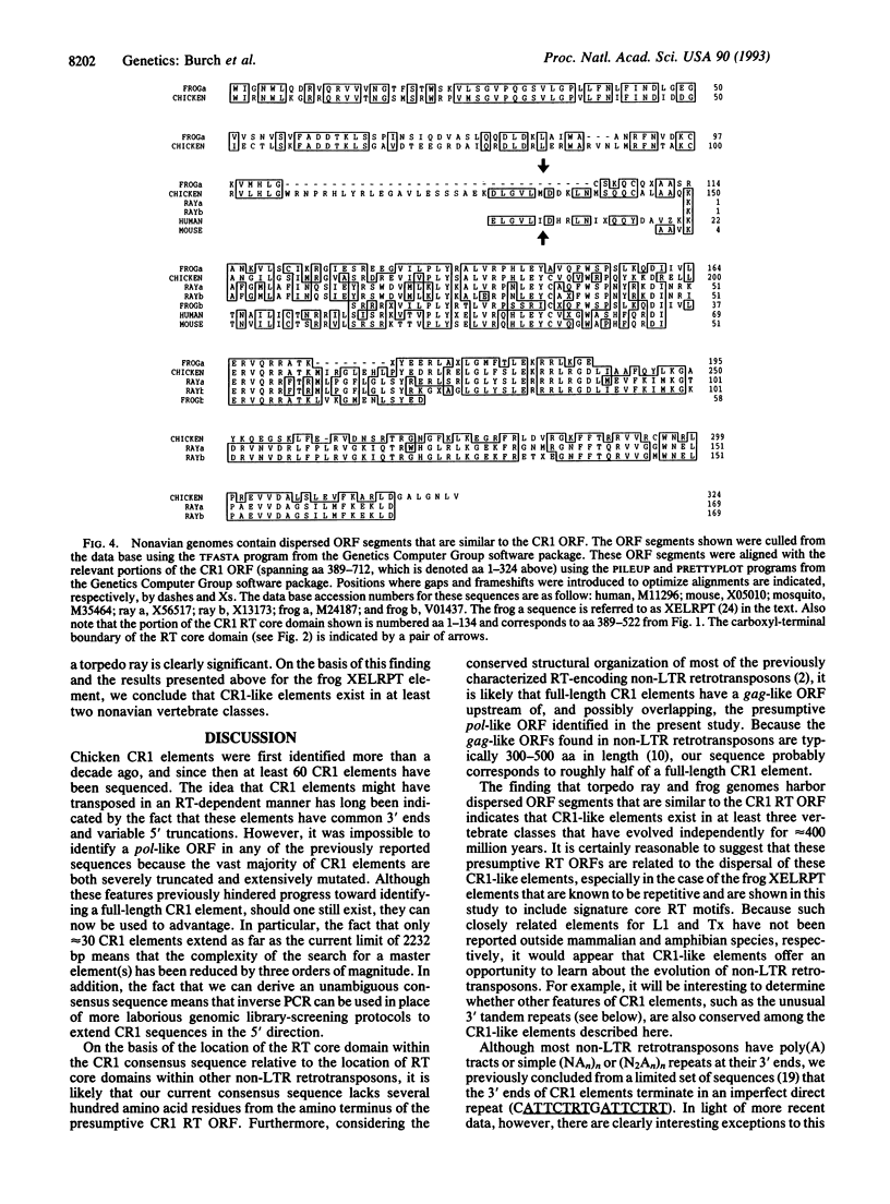 8202