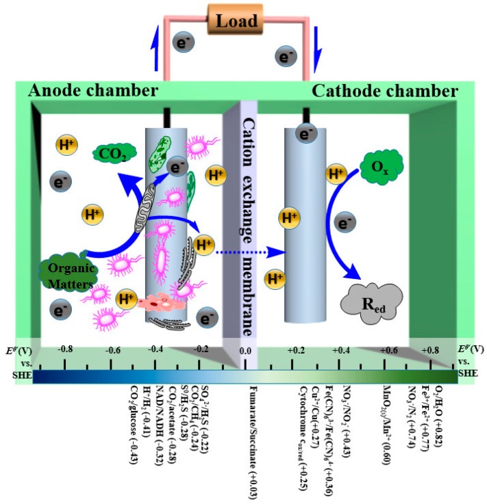 Figure 12