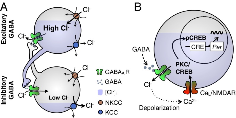 Fig. 6.