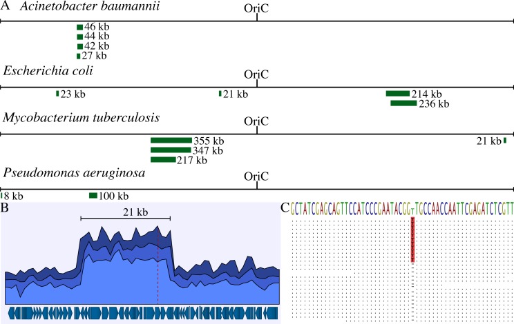 Fig 4