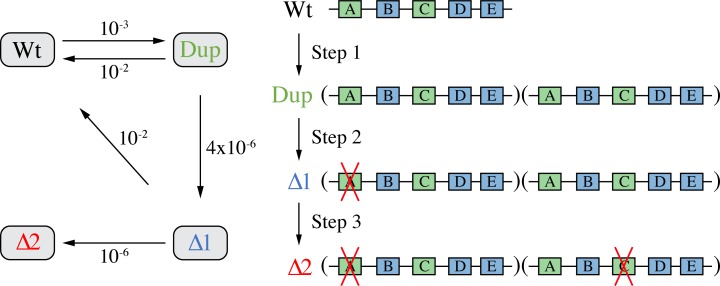 Fig 2