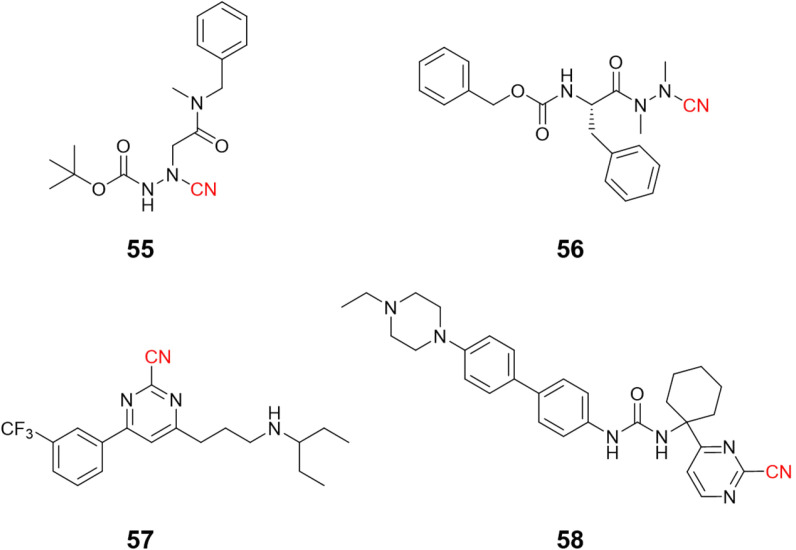 Fig. 25