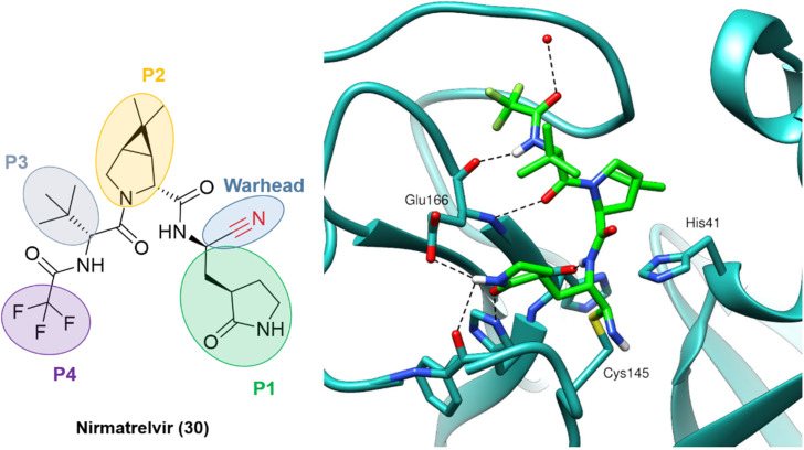 Fig. 11