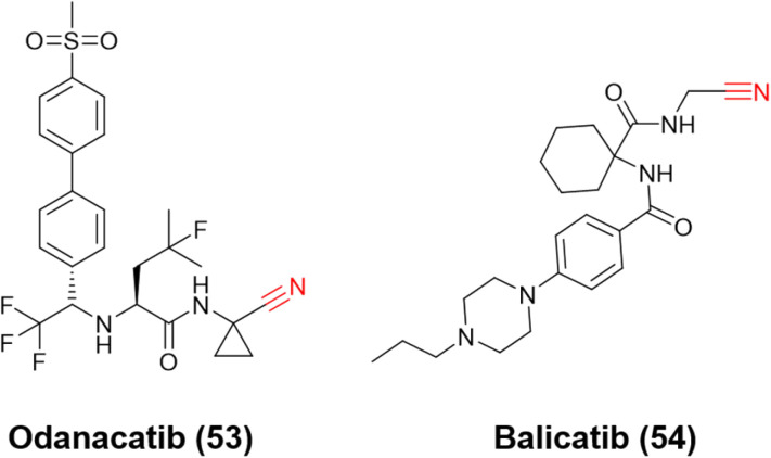 Fig. 24