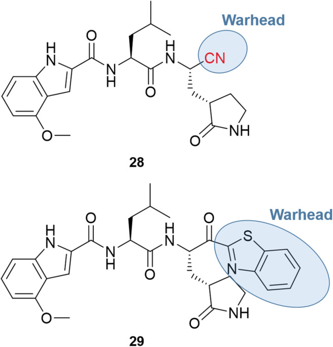 Fig. 10