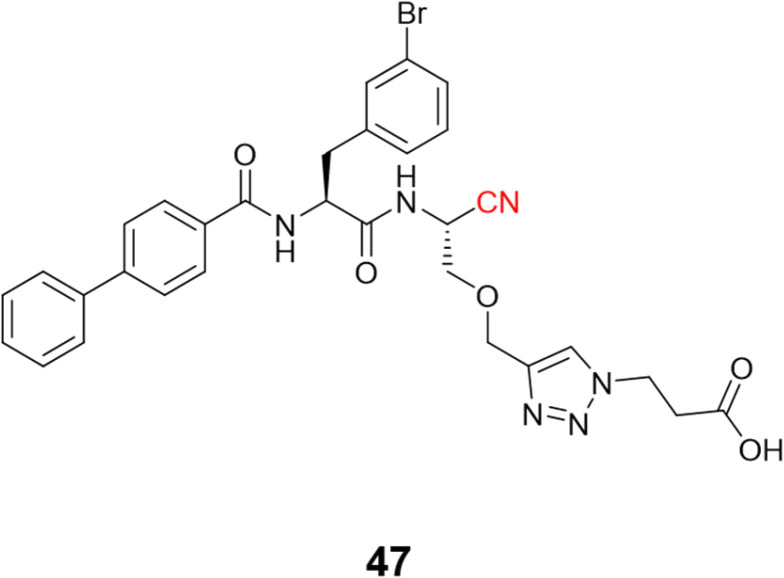 Fig. 22