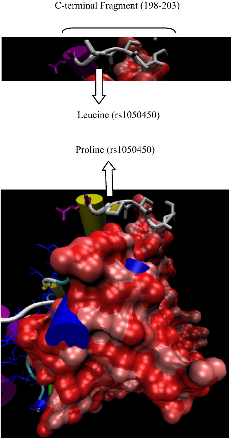 Fig. 3