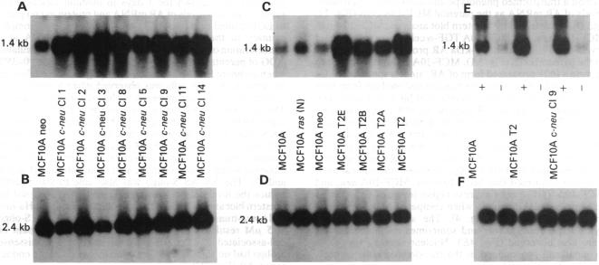 graphic file with name pnas01129-0423-b.jpg