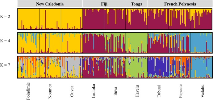 Fig 3