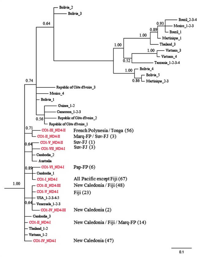 Fig 6