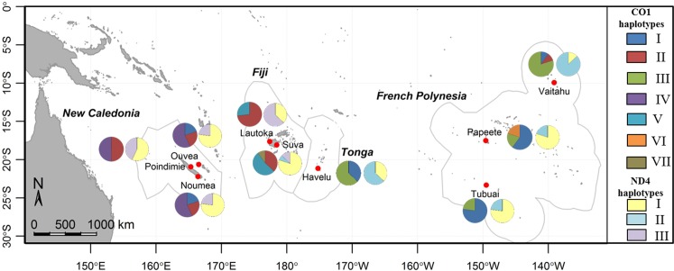 Fig 4