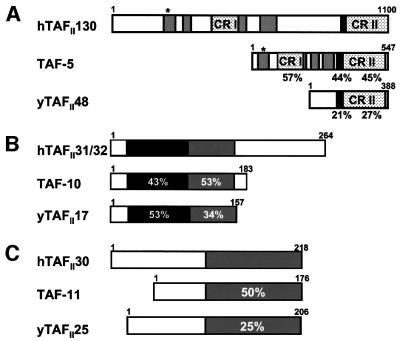 graphic file with name cde512f1.jpg