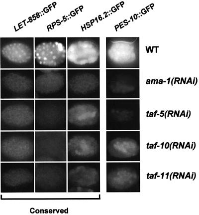 graphic file with name cde512f5.jpg